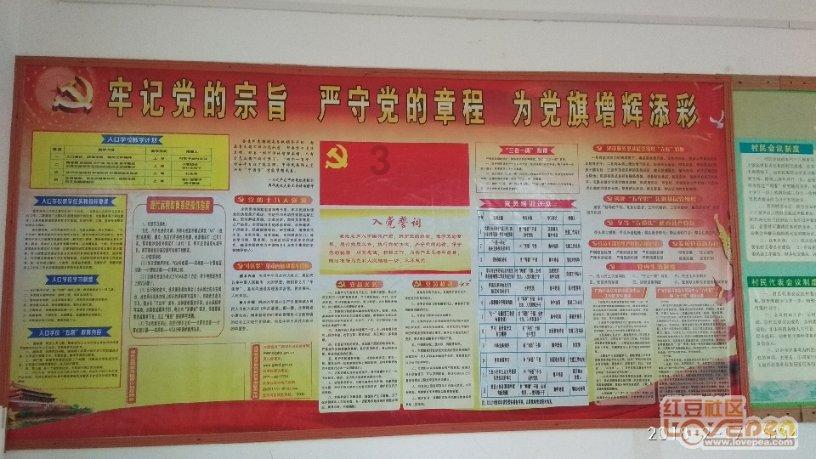 膀大腰圆，却能在上星剧里演情妇，到底谁的审美出了问题
